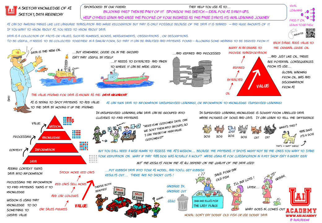 AIU Academy Data Hierarchy cartoon